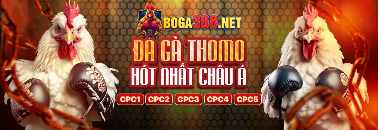 Hình ảnh chính 6ff bet - Hướng dẫn cho người mới bắt đầu
